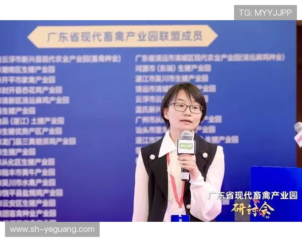 与陈丽对话探讨她的飞盘生涯与未来发展之路